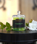 The Light Inside Scented Candle – Citronella (Mosquito Repellent, Green Glass Cup)
